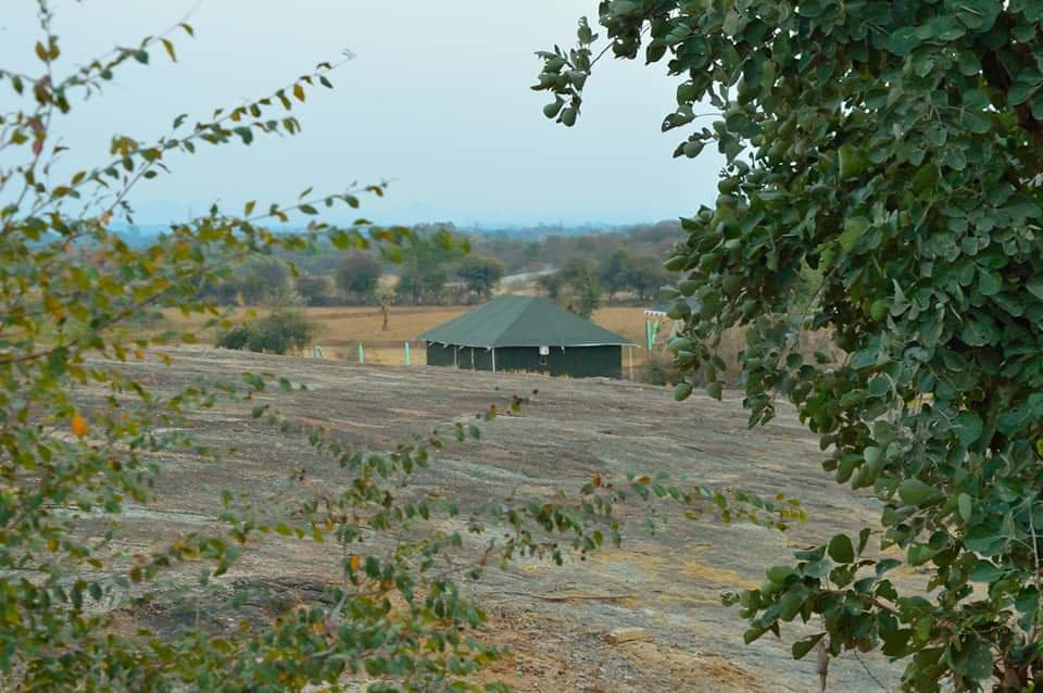 Farm Land