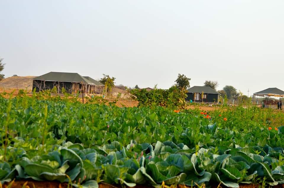 Farm Land