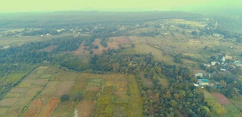 Farm Land