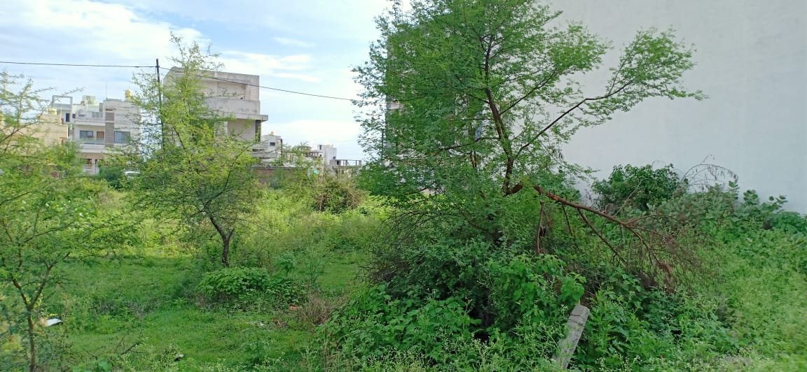 Plot in Manish Nagar