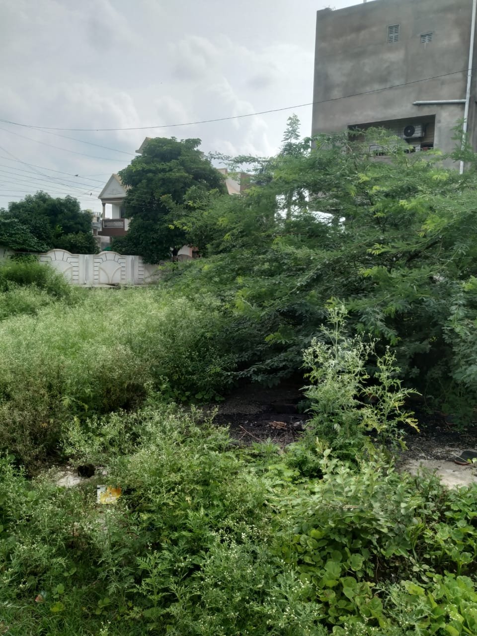 Murlidhar Society