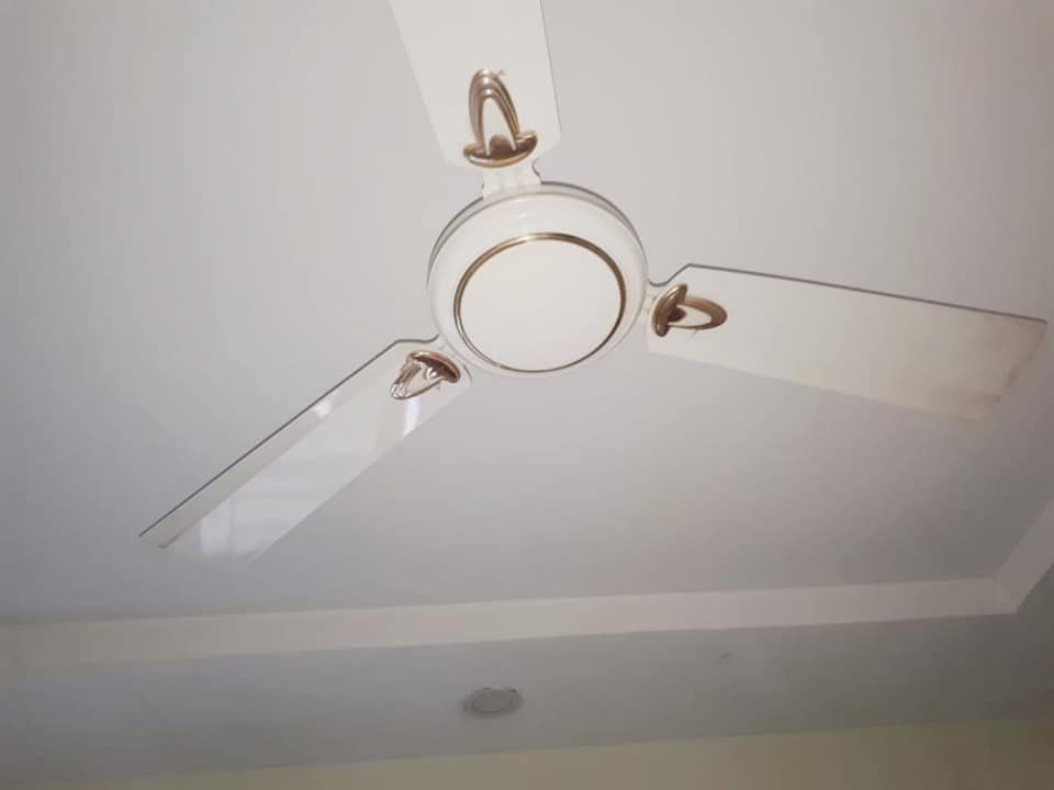 Flat (Rent) in Friends Colony