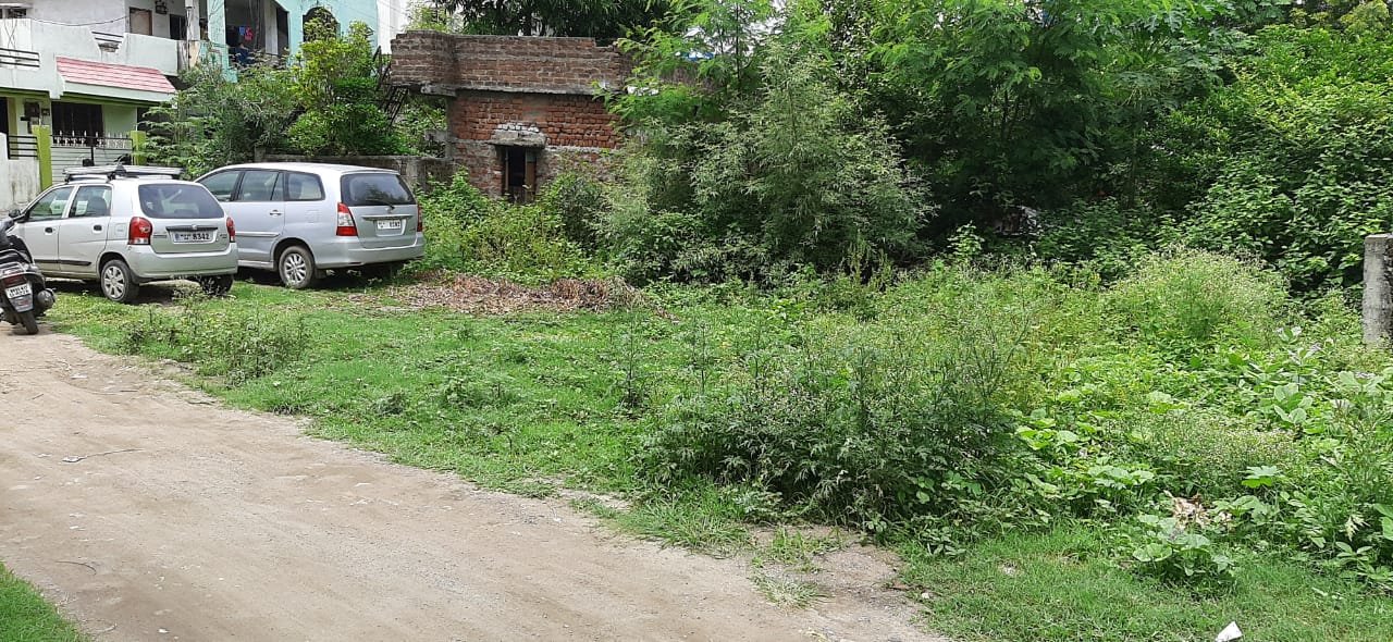 Plot in Narsala