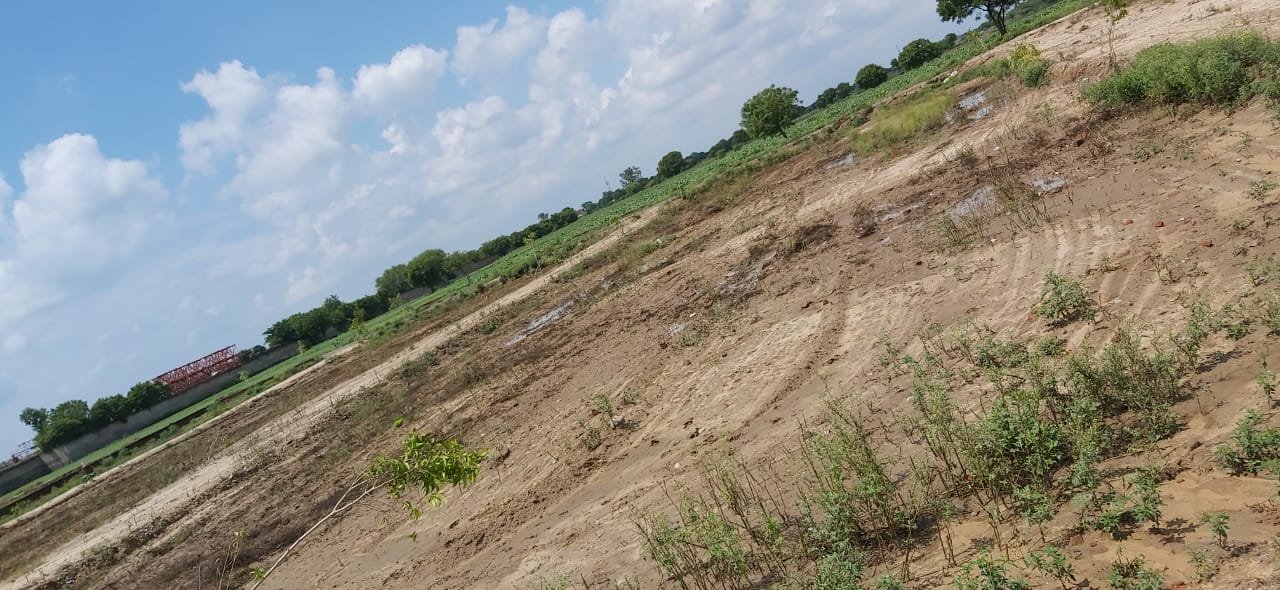 Plot in Banchari