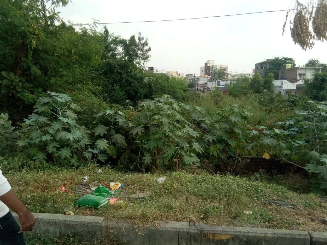 Plot in Dighori