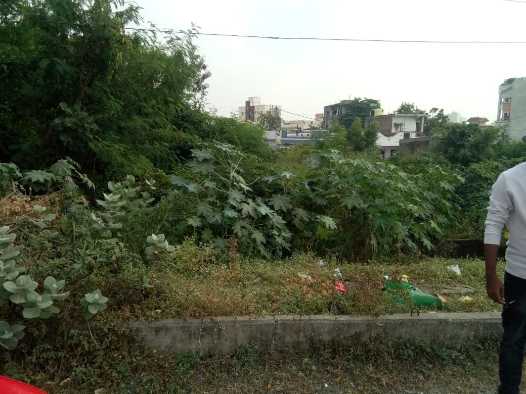 Plot in Dighori