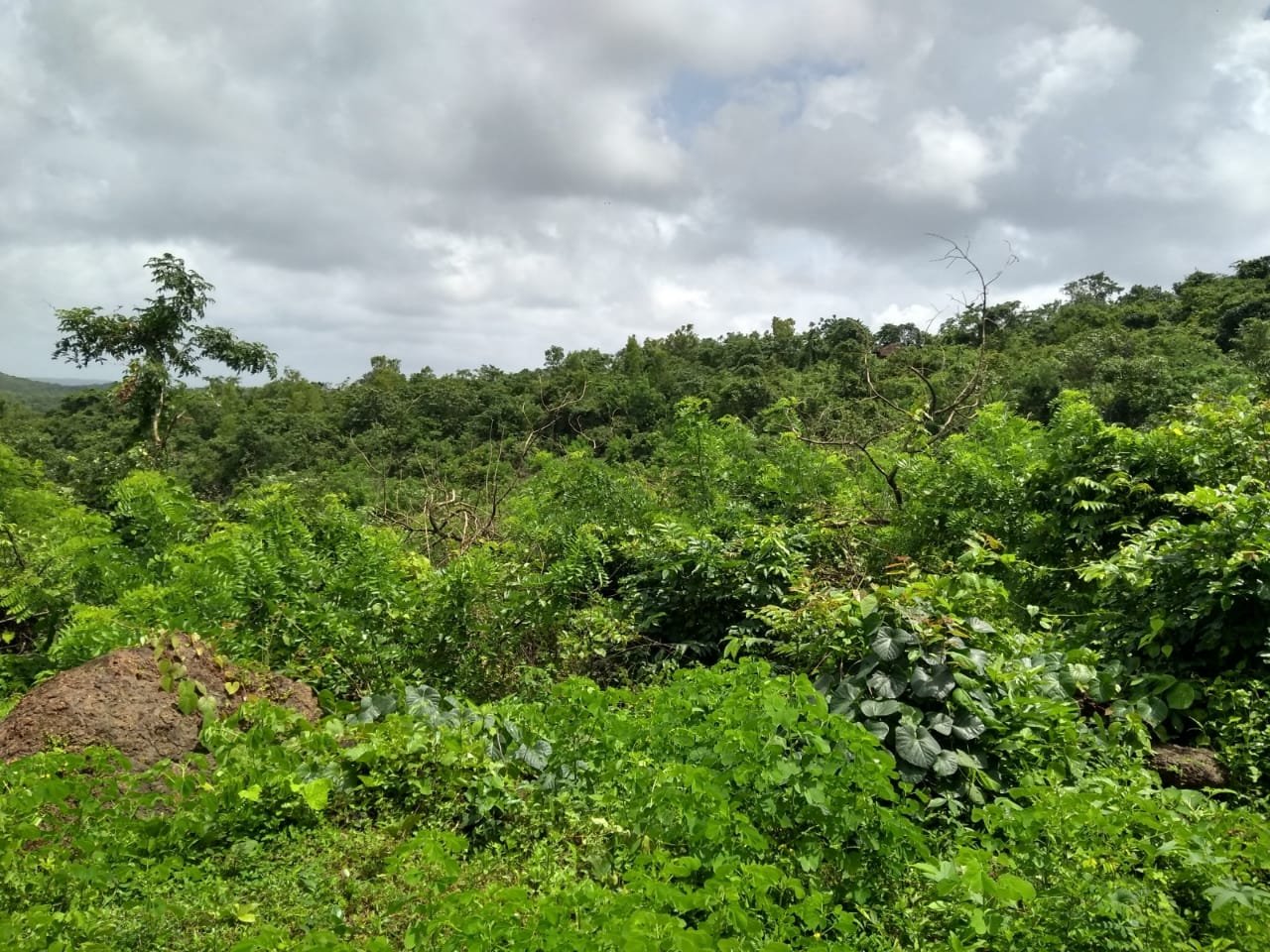 Plot in Guhagar