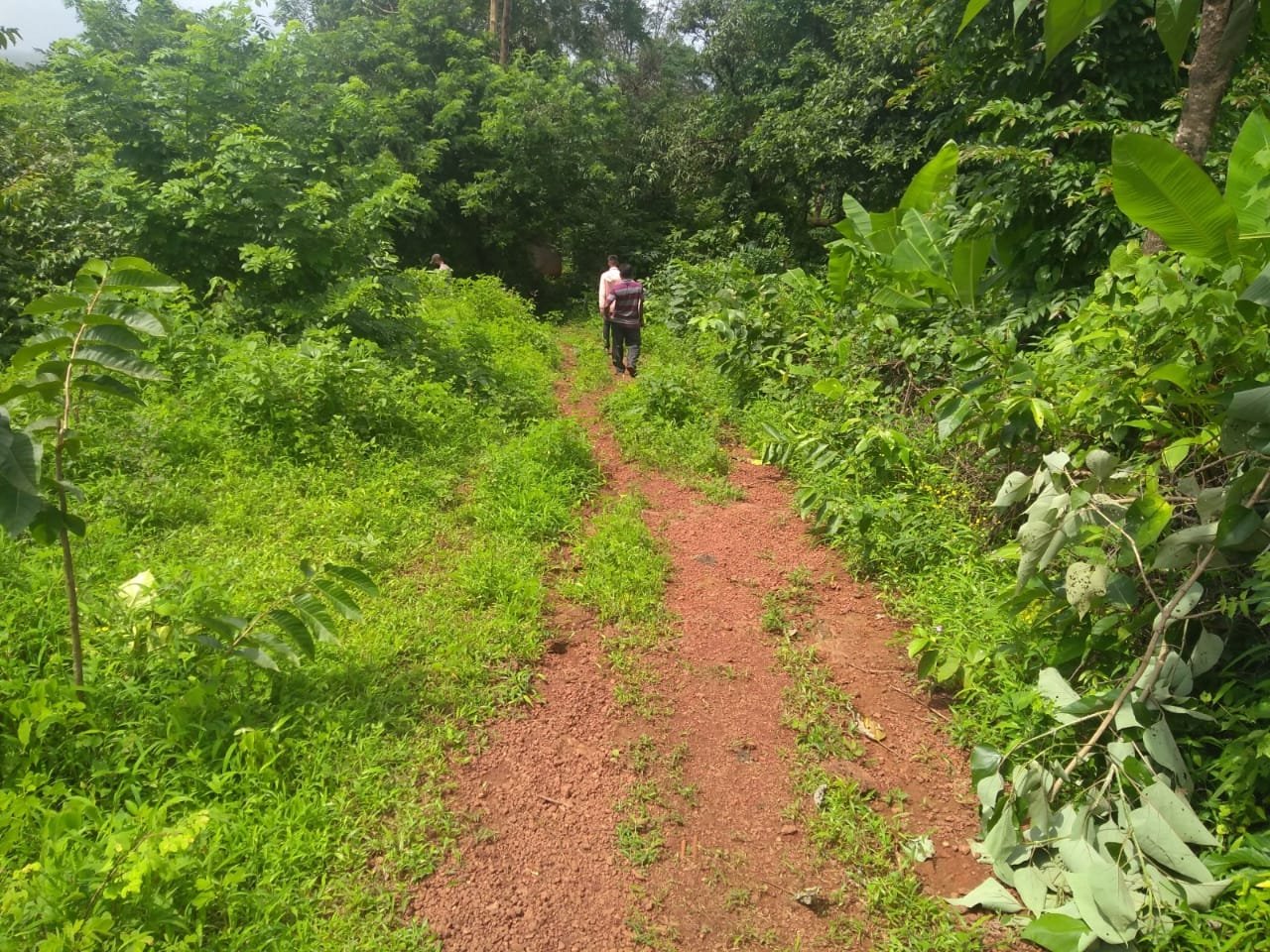 Plot in Guhagar