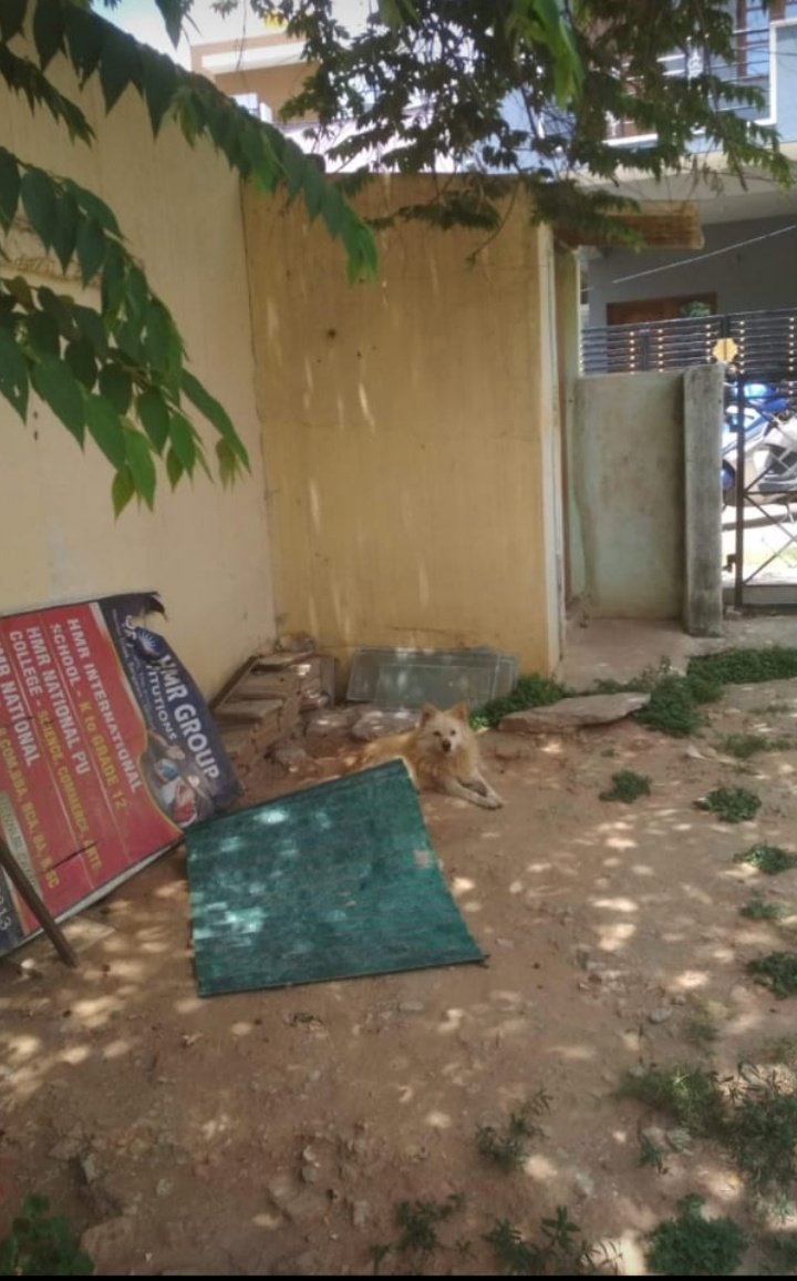 Plot in Prakruthi Layout