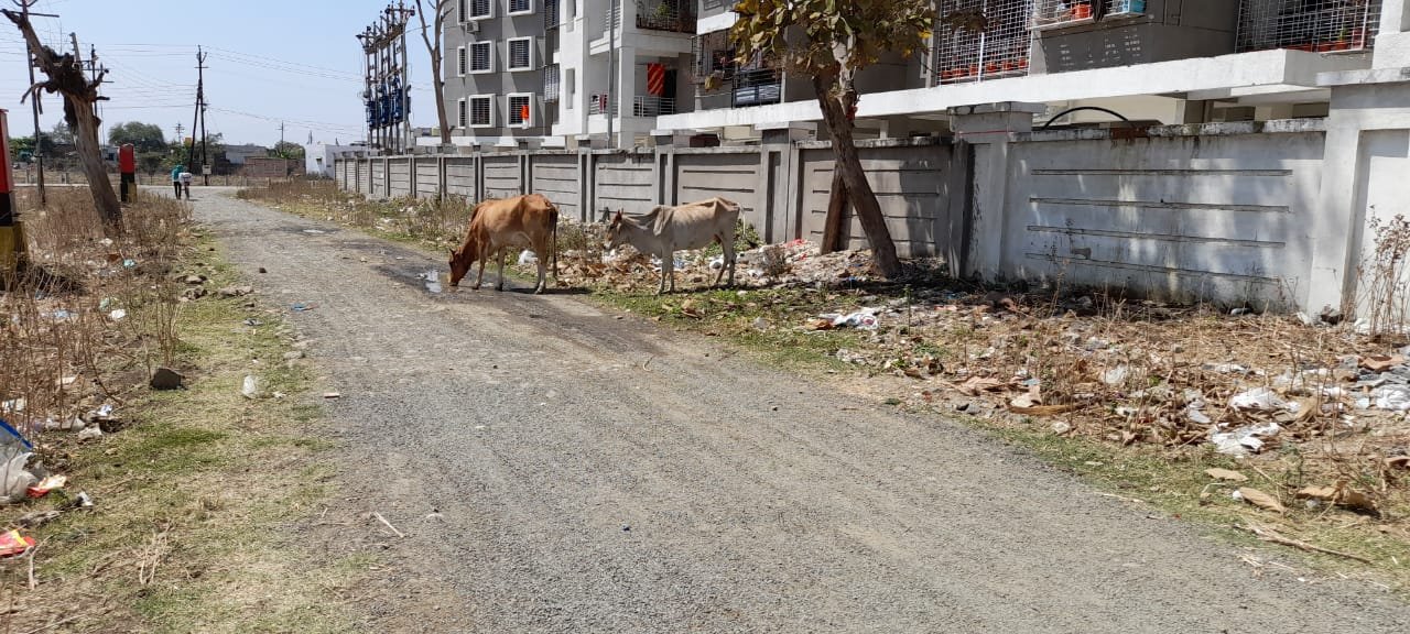 RL Plot in Manish Nagar