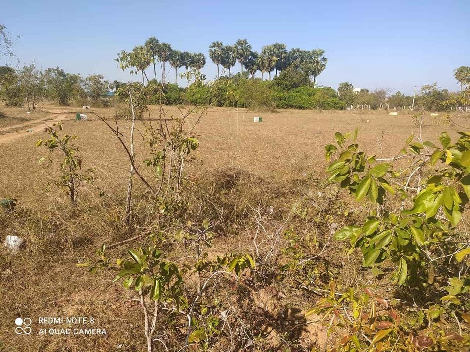 Flat in Guduvanchery