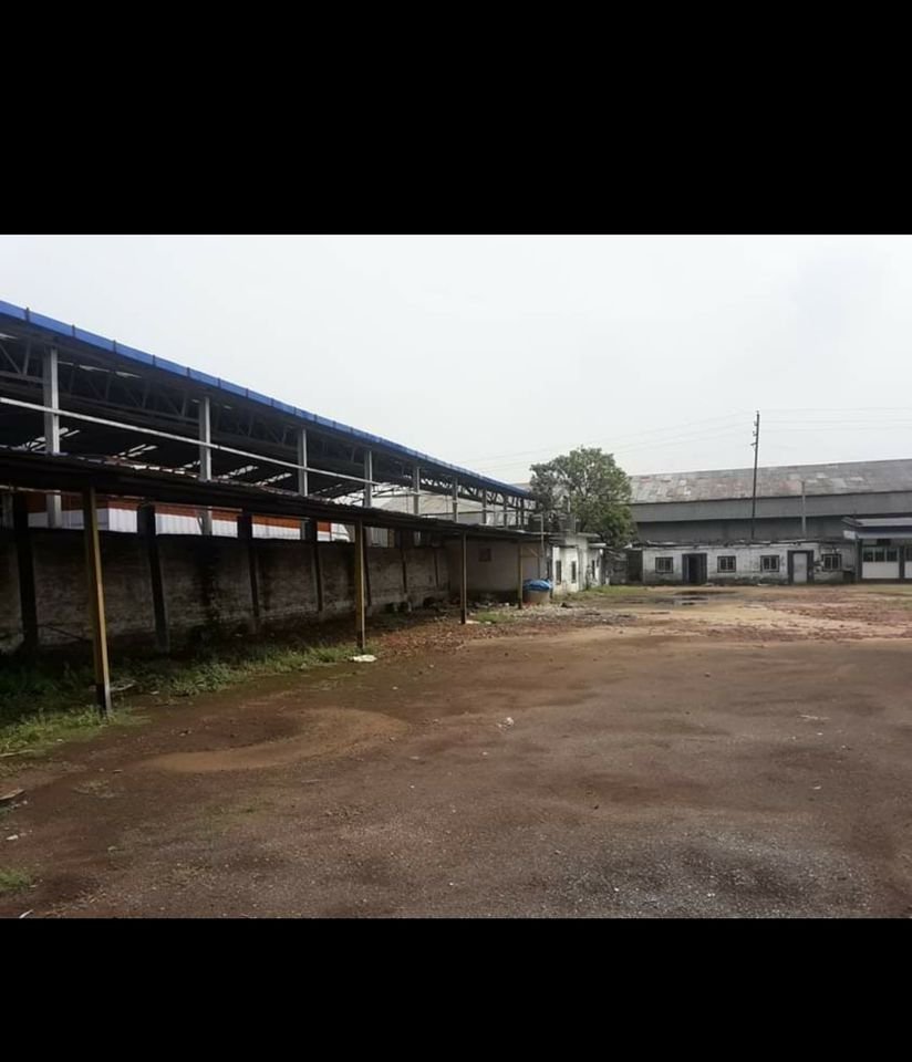 Plot in Chamrail 1