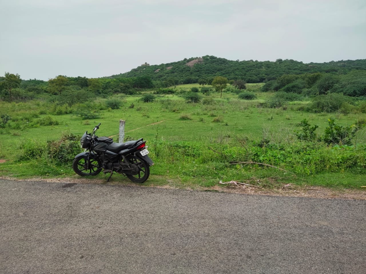 7.5 acres BT road bit is available for sale in Village : ibhrahimpur